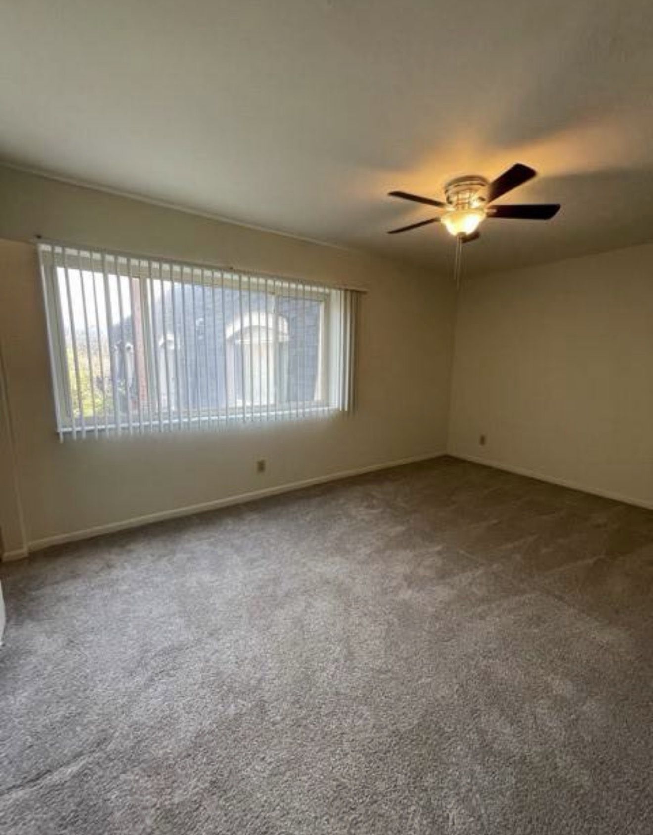 IMG 0919